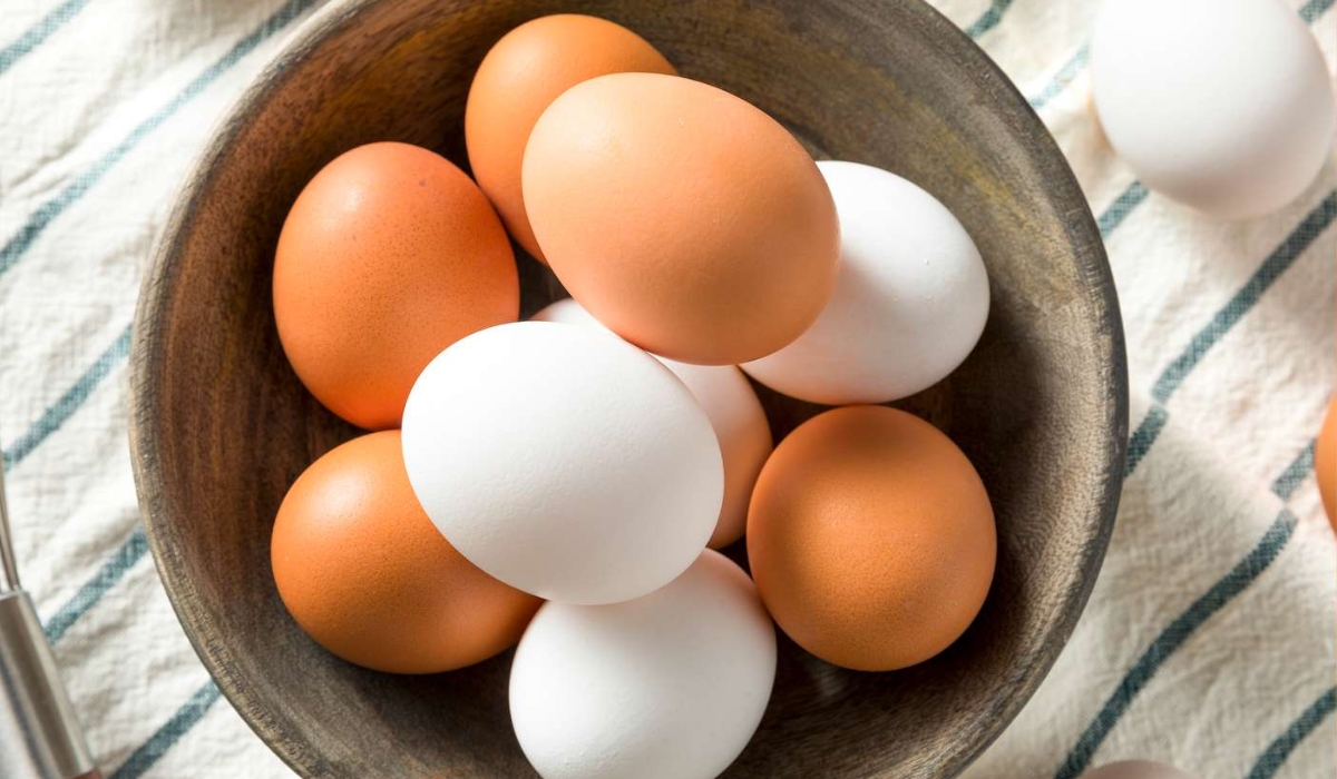 Brown Eggs vs. White Eggs: Which Is Healthier? Gastroenterologist Clarifies Common Misconceptions